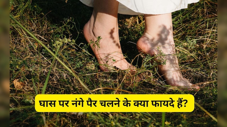 घास पर नंगे पैर चलने के क्या फायदे हैं? जानिए इसके सेहत पर होने वाले असर के बारे में घास पर नंगे पैर चलने के क्या फायदे हैं? जानिए इसके सेहत पर होने वाले असर के बारे में