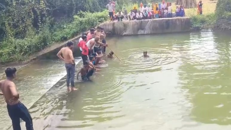 Rajasthan: करौली के नादौती में तालाब में डूबने से दो किशोरों की मौत, गांव में पसरा मातम Rajasthan: करौली के नादौती में तालाब में डूबने से दो किशोरों की मौत, गांव में पसरा मातम