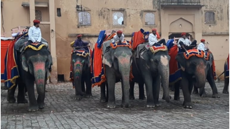 Rajasthan Tourism: 'हर हाथी पर रोज 4000 का खर्च, पैसा कहां से लाएं', आमेर महल में एलिफेंट राइड बंद होने पर बोले महावत