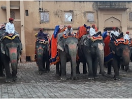 Rajasthan Tourism: 'हर हाथी पर रोज 4000 का खर्च, पैसा कहां से लाएं', आमेर महल में एलिफेंट राइड बंद होने पर बोले महावत Rajasthan Tourism: 'हर हाथी पर रोज 4000 का खर्च, पैसा कहां से लाएं', आमेर महल में एलिफेंट राइड बंद होने पर बोले महावत