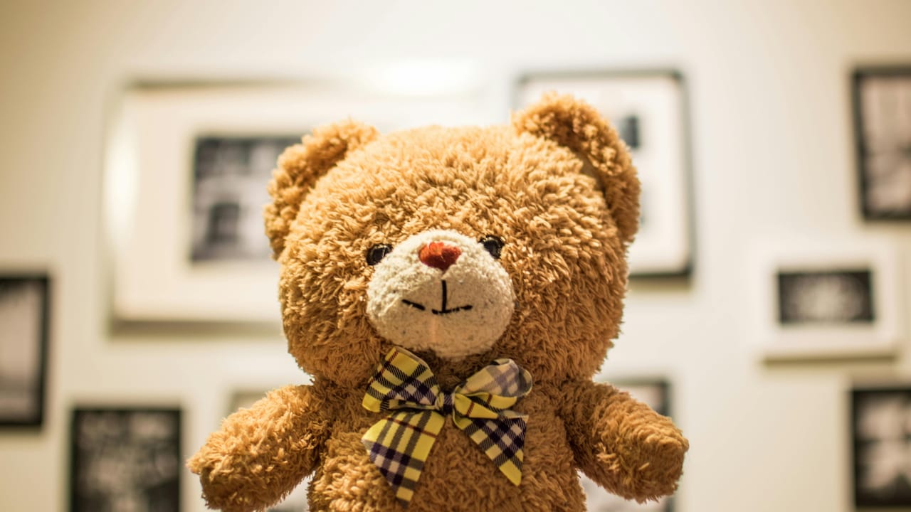 Safe Stuffed Toys: 10 Essential Tips Every Parent Must Know Before Buying