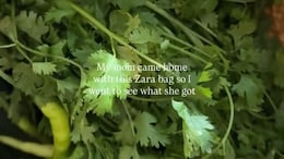 "Just Indian Mom Things" - Zara Bag Filled With Coriander Has Internet In Splits