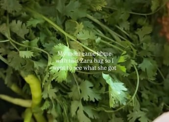 Viral Video Shows Indian Mom's "Zara Wale Dhania," Internet Reacts