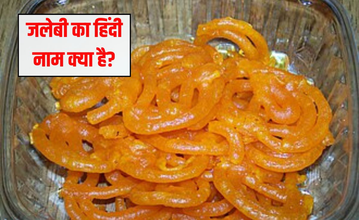 जलेबी का हिंदी नाम क्या है? 99% लोग नहीं जानते हैं यह वाला नाम, बता द‍िया तो मान जाएंगे ज्ञानी हो आप