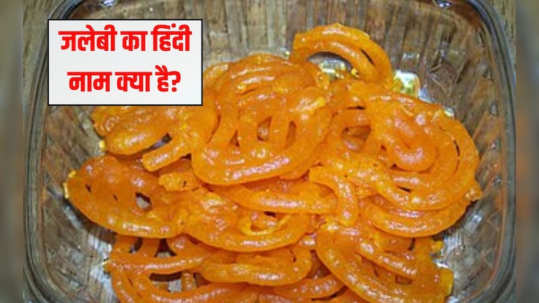 जलेबी का हिंदी नाम क्या है? 99% लोग नहीं जानते हैं यह वाला नाम, बता दिया तो मान जाएंगे ज्ञानी हो आप जलेबी का हिंदी नाम क्या है? 99% लोग नहीं जानते हैं यह वाला नाम, बता दिया तो मान जाएंगे ज्ञानी हो आप