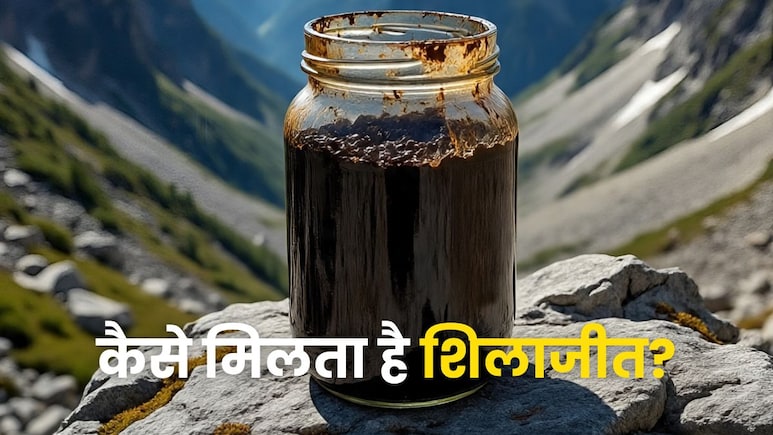 पहाड़ का पसीना है शिलाजीत, जानें कहां और कैसे मिलता ताकत का ये खजाना