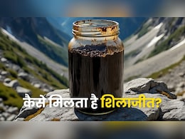 पहाड़ का पसीना है शिलाजीत, जानें कहां और कैसे मिलता ताकत का ये खजाना पहाड़ का पसीना है शिलाजीत, जानें कहां और कैसे मिलता ताकत का ये खजाना