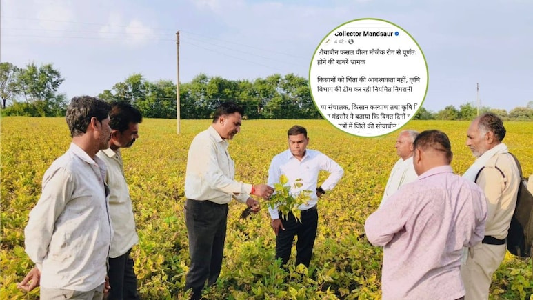 Mandsaur Collector: मंदसौर कलेक्टर को हटानी पड़ी सोशल मीडिया से पोस्ट, सोयाबीन की फसल नष्ट को लेकर की थी टिप्पणी Mandsaur Collector: मंदसौर कलेक्टर को हटानी पड़ी सोशल मीडिया से पोस्ट, सोयाबीन की फसल नष्ट को लेकर की थी टिप्पणी
