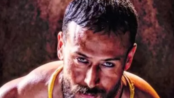 Baaghi 4 Vs The Bengal Files: 6 दिन बाद बॉक्स ऑफिस पर पस्त हुईं दोनों फिल्में, खाते में आए इतने करोड़
