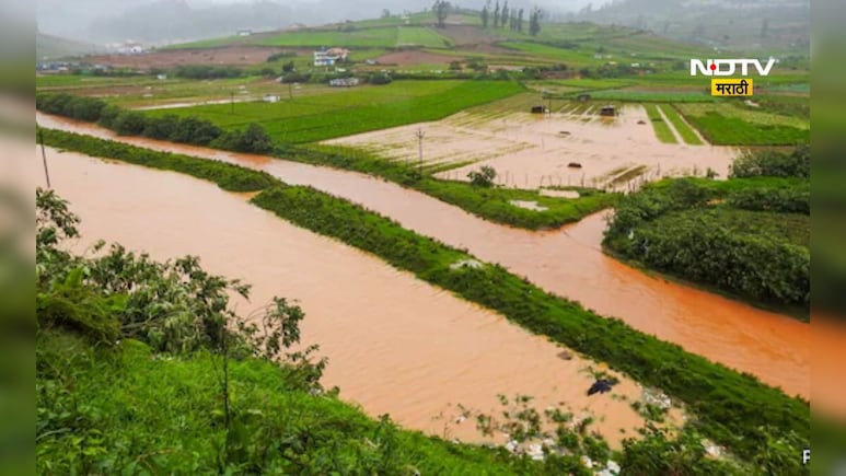Marathwada Rain: मराठवाड्यात का होत आहे ढगफुटी सदृष्य पाऊस? हवामान तज्ञ काय म्हणतात? Marathwada Rain: मराठवाड्यात का होत आहे ढगफुटी सदृष्य पाऊस? हवामान तज्ञ काय म्हणतात?