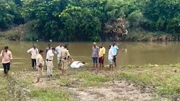 2 Police Officers Killed, 1 Missing As Car Falls Into Madhya Pradesh River