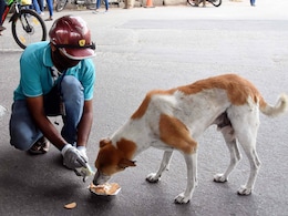 कुत्तों के कथित रूप से मारे जाने के बाद देशभर में शांति मार्च; लोगों ने न्यायालय से स्पष्टीकरण मांगा