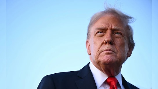 Refile It In "Dignified Manner": Court Tosses Trump