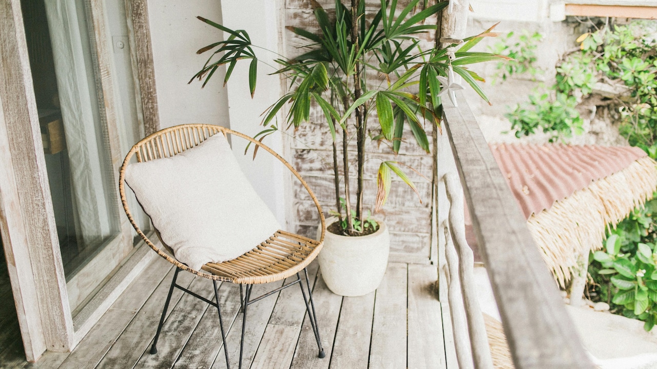 Bamboo Plants At Home: The Vastu And Feng Shui Benefits