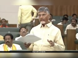 To Replicate Tirumala Temple In Amaravati, Chandrababu Naidu&#039;s Rs 250 Crore Plan