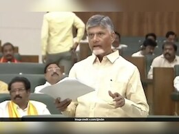 To Replicate Tirumala Temple In Amaravati, Chandrababu Naidu's Rs 250 Crore Plan
