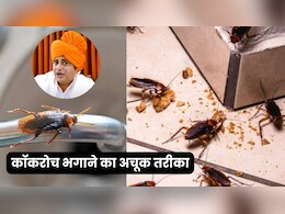 कॉकरोच से हैं परेशान? आजमाएं सन्यासी आयुर्वेदा का ये अचूक तरीका, 5 साल तक लौटकर नहीं आएंगे तिलचट्टे कॉकरोच से हैं परेशान? आजमाएं सन्यासी आयुर्वेदा का ये अचूक तरीका, 5 साल तक लौटकर नहीं आएंगे तिलचट्टे