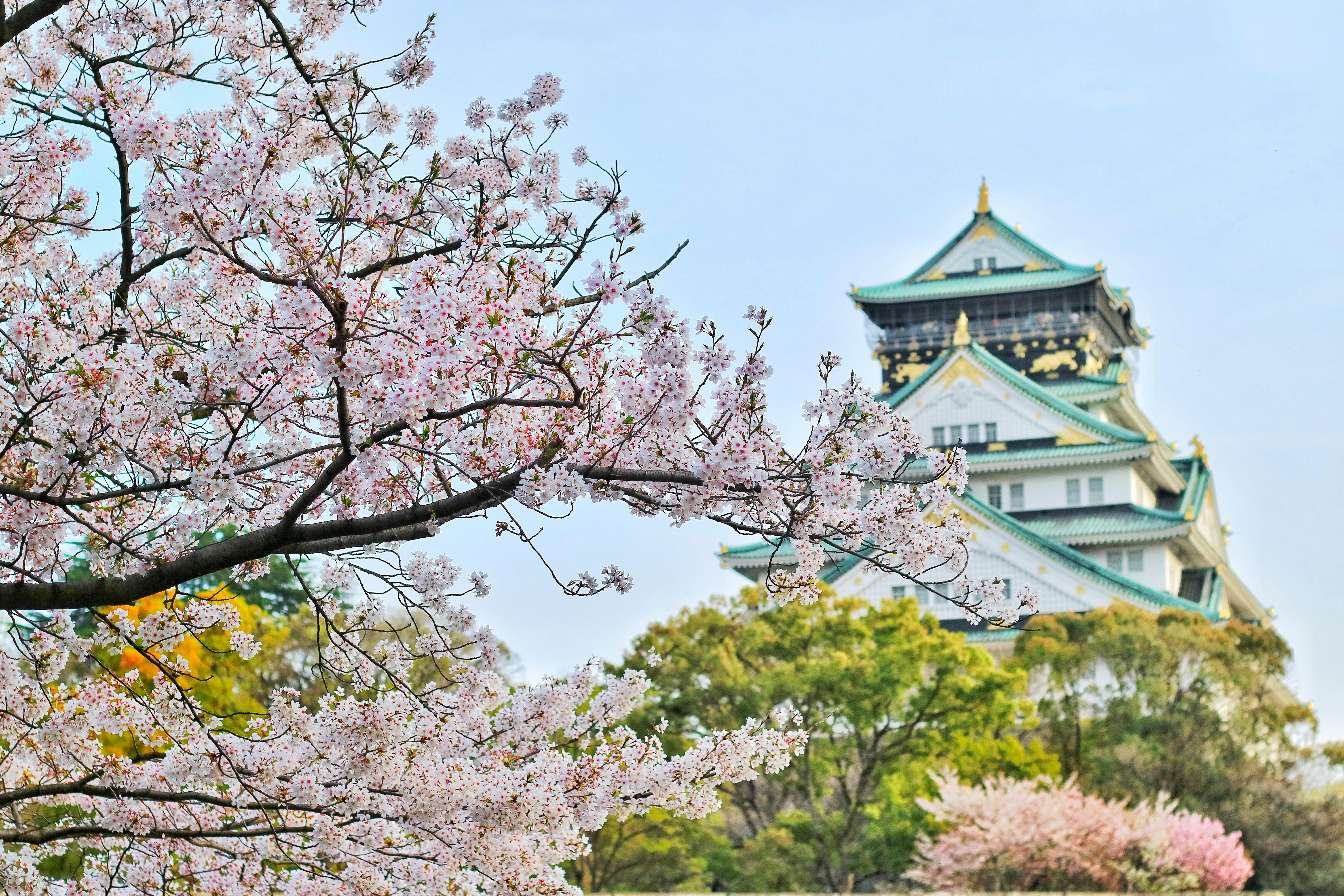 Planning A Japan Trip? New Appointment Rule Announced For Visa Applications