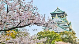 How Indian Travellers Can Apply for A Japan Visa In 2025