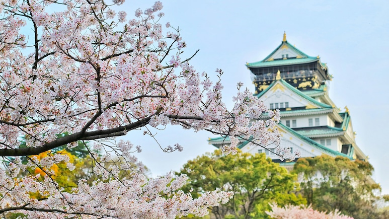 How Indian Travellers Can Apply for A Japan Visa In 2025