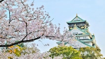 Planning A Japan Trip? New Appointment Rule Announced For Visa Applications