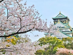Planning A Japan Trip? New Appointment Rule Announced For Visa Applications