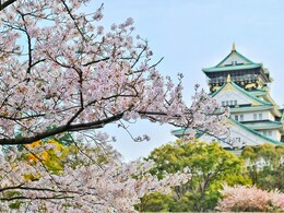 Planning A Japan Trip? New Appointment Rule Announced For Visa Applications