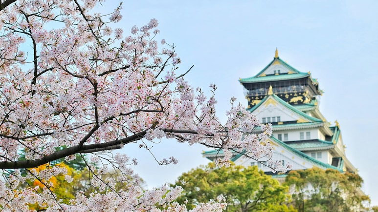 Planning A Japan Trip? New Appointment Rule Announced For Visa Applications