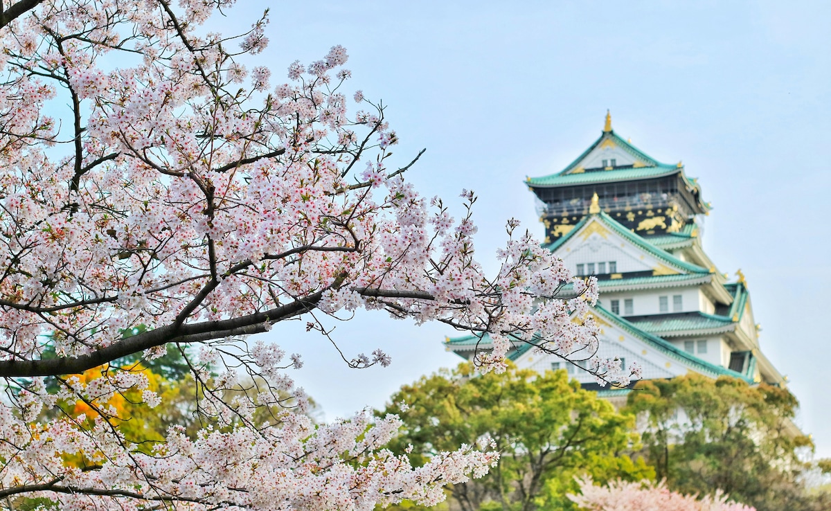 Japan Introduces New Visa Appointment Rules