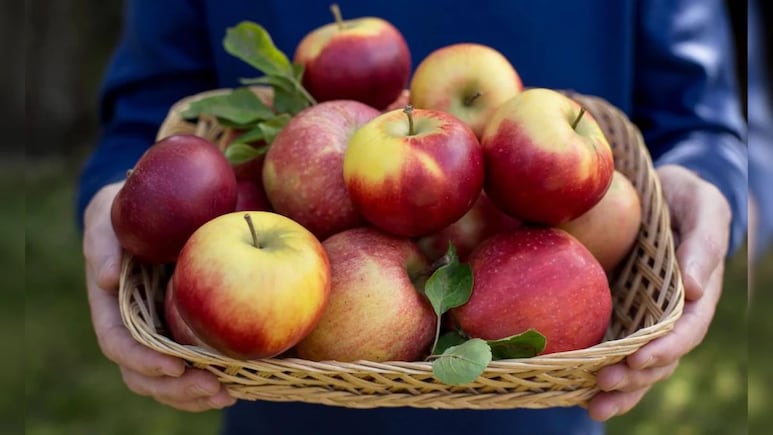 Apple Health Benefits : फक्त 30 दिवस रिकाम्या पोटी सफरचंद खा..आरोग्याच्या 'या' समस्यांपासून कायमची होईल सुटका