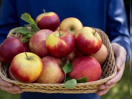 Apple Health Benefits : फक्त 30 दिवस रिकाम्या पोटी सफरचंद खा..आरोग्याच्या 'या' समस्यांपासून कायमची होईल सुटका Apple Health Benefits : फक्त 30 दिवस रिकाम्या पोटी सफरचंद खा..आरोग्याच्या 'या' समस्यांपासून कायमची होईल सुटका