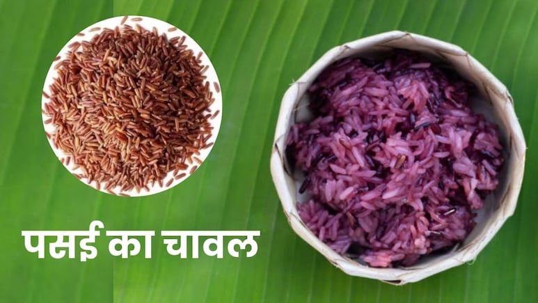 ब्राउन-व्हाइट राइस भूल जाइए, पसई का चावल है सेहत का नया मंत्र, 99% लोगों को नहीं मालूम होंगे इसके फायदे