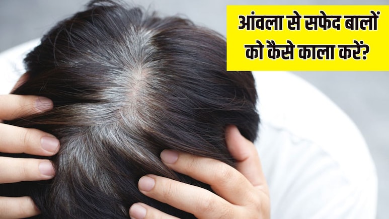 आंवला पाउडर में मिलाकर लगा लें ये 3 चीजें, एक-एक सफेद बाल हो जाएगा काला, एक्सपर्ट ने बताया जबरदस्त आयुर्वेदिक नुस्खा