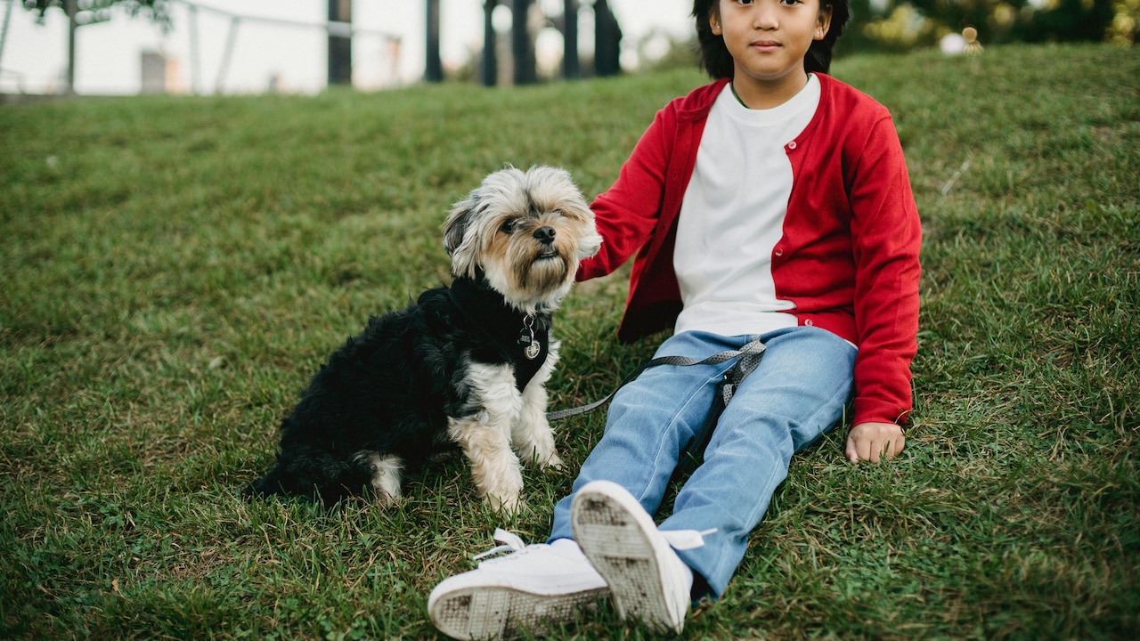Explore stylish and comfortable jeans for boys on Myntra; Photo Credit: Pexels