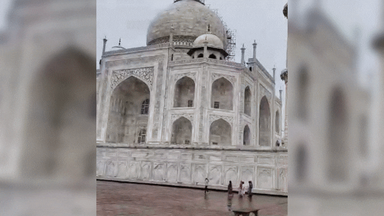 ताजमहल की चौखट तक पहुंची यमुना, पर्यटक इस नजारे को कर रहे कैमरे में कैद, देखें वीडियो