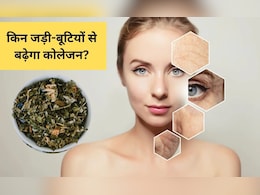 कोलेजन बढ़ाने के लिए कौनसी जड़ी-बूटी है सबसे अच्छी? आयुर्वेदिक डॉक्टर ने बताया कोलेजन बढ़ाने के लिए कौनसी जड़ी-बूटी है सबसे अच्छी? आयुर्वेदिक डॉक्टर ने बताया