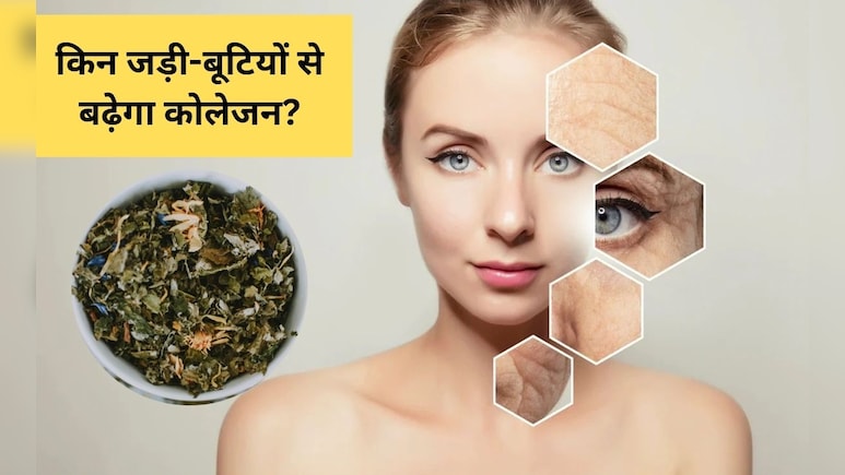 कोलेजन बढ़ाने के लिए कौनसी जड़ी-बूटी है सबसे अच्छी? आयुर्वेदिक डॉक्टर ने बताया कोलेजन बढ़ाने के लिए कौनसी जड़ी-बूटी है सबसे अच्छी? आयुर्वेदिक डॉक्टर ने बताया