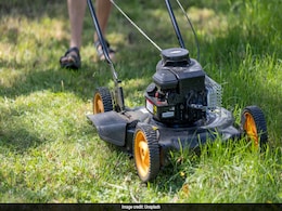 US Man Shocked To Find Human Skull While Mowing Lawn: "Looked Like Dried Cantaloupe" US Man Shocked To Find Human Skull While Mowing Lawn: "Looked Like Dried Cantaloupe"