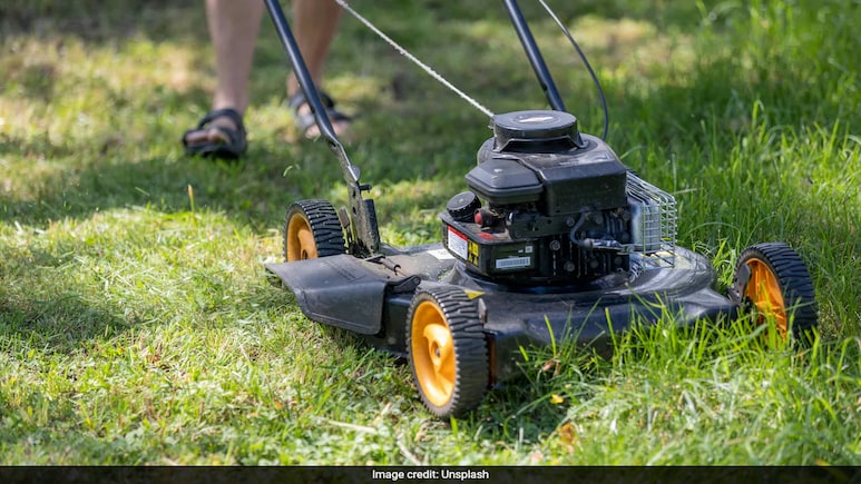 US Man Shocked To Find Human Skull While Mowing Lawn: "Looked Like Dried Cantaloupe" US Man Shocked To Find Human Skull While Mowing Lawn: "Looked Like Dried Cantaloupe"