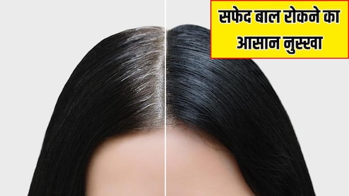 30 की उम्र में ही दिखने लगे हैं सफेद बाल? न्यूट्रिशनिस्ट ने बताया सबसे असरदार नुस्खा, जड़ से बंद हो जाएगा White Hair आना