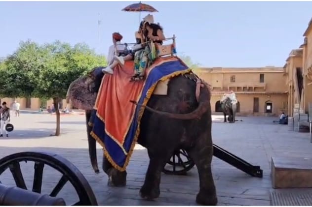 आमेर महल में हाथी सवारी का संचालन शुरू, अब पर्यटकों को चुकाने होंगे ₹2500 आमेर महल में हाथी सवारी का संचालन शुरू, अब पर्यटकों को चुकाने होंगे ₹2500