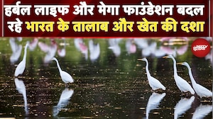 Herbalife और Mega Foundation बदल रहे भारत के तालाब और खेत की दशा