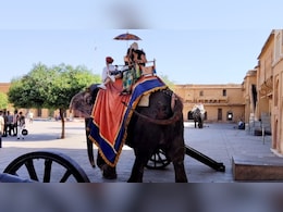 आमेर महल में हाथी की सवारी फिर से बंद, जानें कब होगी दोबारा शुरू
