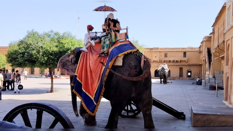 आमेर महल में हाथी की सवारी फिर से बंद, जानें कब होगी दोबारा शुरू
