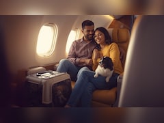 अब फ्लाइट में ले जा सकेंगे दो पालतू जानवर, महज 24 घंटे पहले हो जाएगी बुकिंग