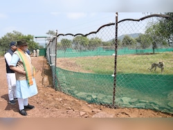 How PM Modi Has Spent His Birthday In Recent Years