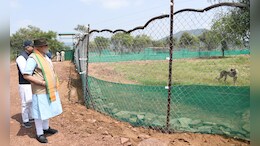 How PM Modi Has Spent His Birthday In Recent Years