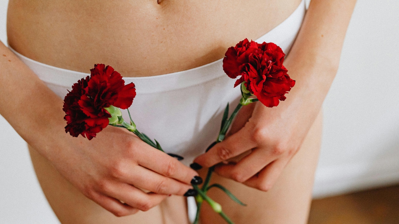 They can be worn alone on light days or as backup with a cup or tampon.