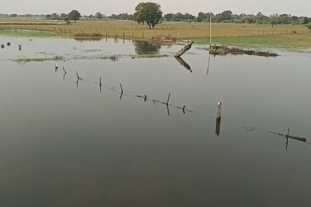 भारी बारिश के बाद खेतों में पानी भर गया है. भारी बारिश के बाद खेतों में पानी भर गया है.