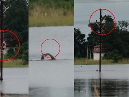 साहस को सैल्यूट: बिजली कर्मचारियों ने 10 फीट गहरे पानी में उतरकर बदले इनसुलेटर